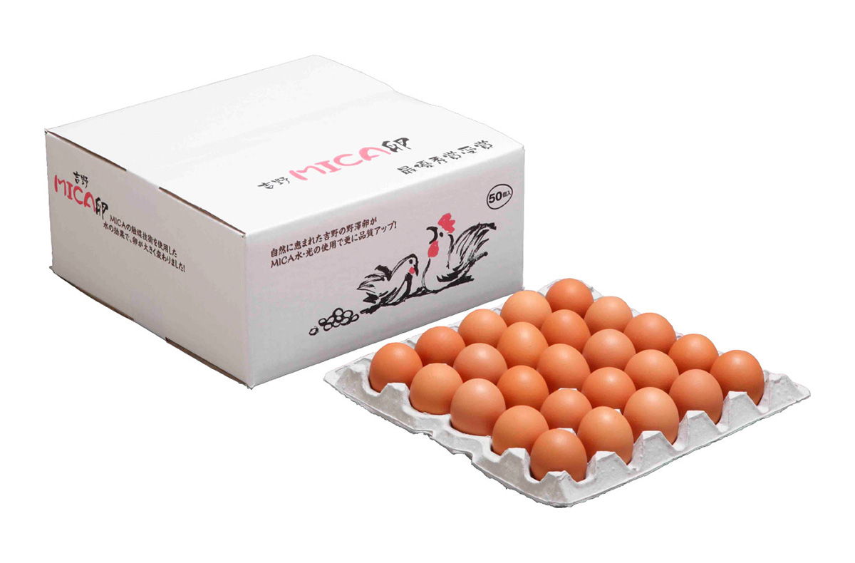 吉野MICA卵